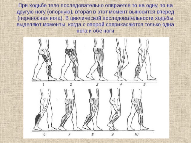 Последовательность движений. Движения человека при ходьбе. Ходьба последовательность. Последовательные движения тела человека при ходьбе. Фазы ходьбы.