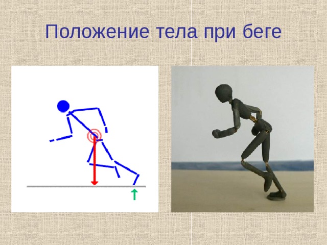 Презентация человек в движении 7 класс презентация