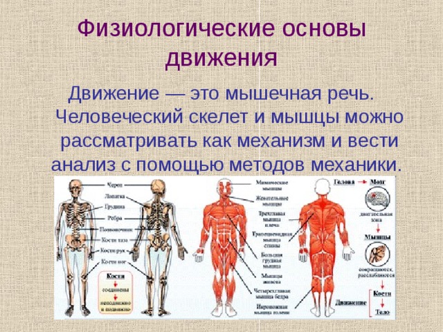 Основа движения