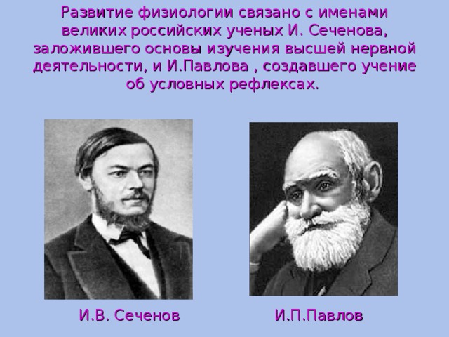 Презентация учение о высшей нервной деятельности сеченова и павлова