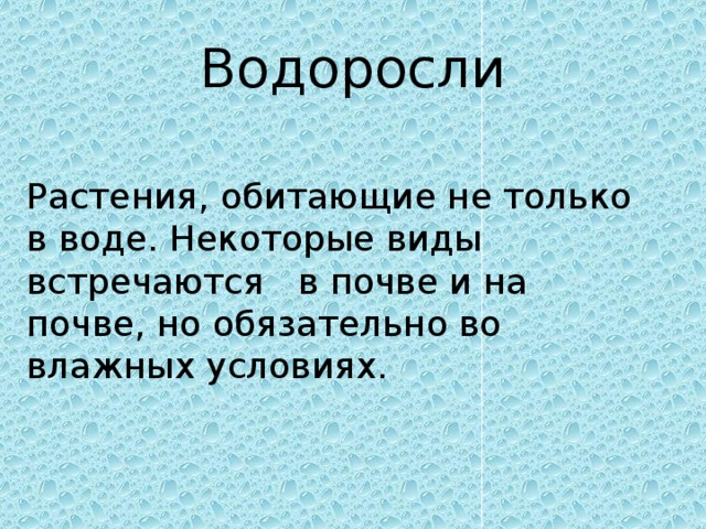 Водоросли Растения, обитающие не только в воде. Некоторые виды встречаются в почве и на почве, но обязательно во влажных условиях. 