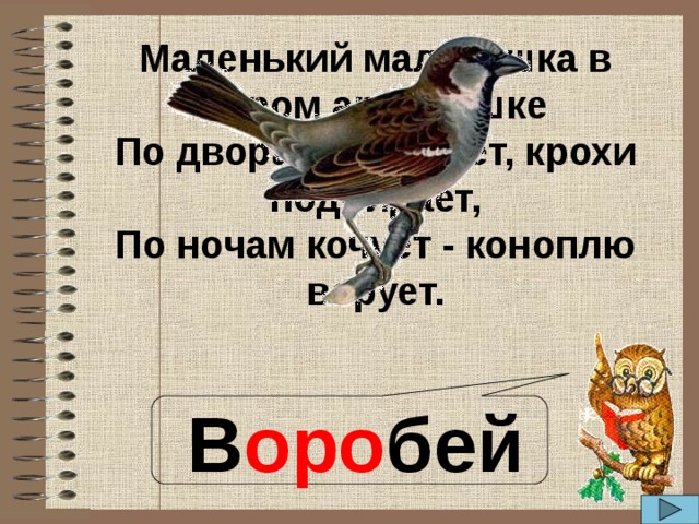 Маленький мальчишка в сером армячишке По дворам шныряет, крохи подбирает, По ночам кочует - коноплю ворует.  В оро бей 
