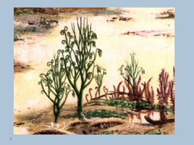 Выход растений на сушу какая эра. Палеозойская Эра псилофиты. Силурийский период псилофиты. Псилофиты девона. Псилофиты Девонский период.