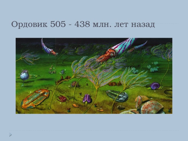 Ордовик 505 - 438 млн. лет назад 