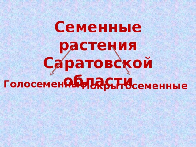 Семенные растения Саратовской области Голосеменные Покрытосеменные 