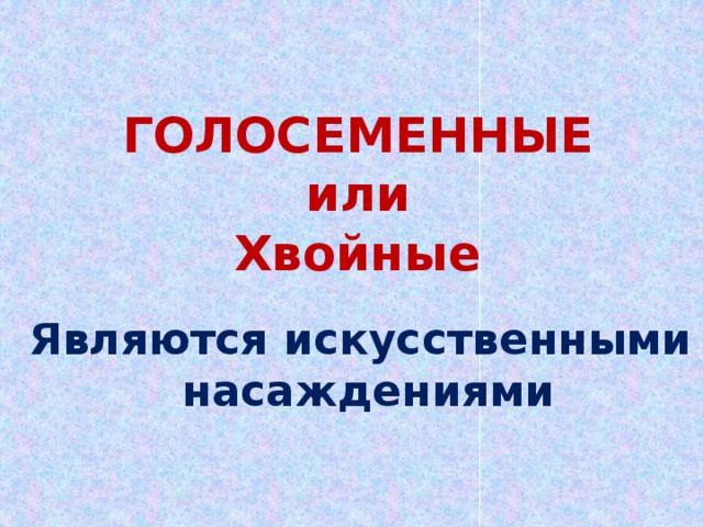 ГОЛОСЕМЕННЫЕ  или  Хвойные Являются искусственными  насаждениями 