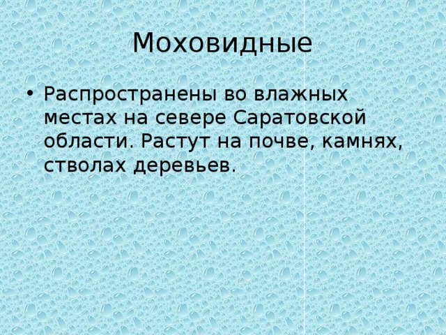 Моховидные Распространены во влажных местах на севере Саратовской области. Растут на почве, камнях, стволах деревьев. 