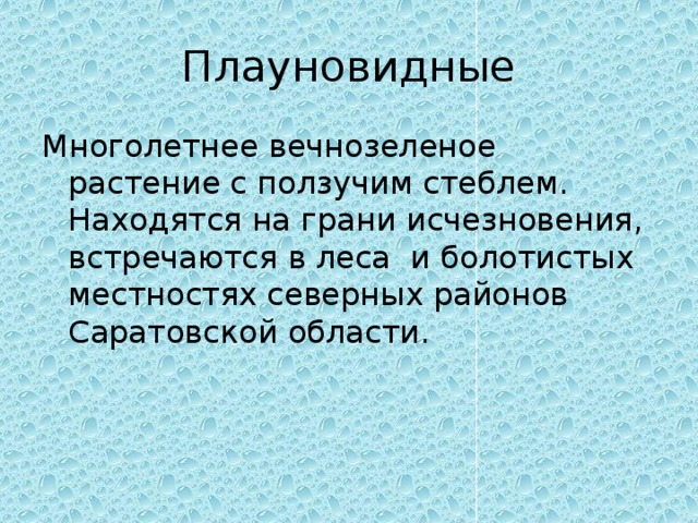 Плауновидные Многолетнее вечнозеленое растение с ползучим стеблем. Находятся на грани исчезновения, встречаются в леса и болотистых местностях северных районов Саратовской области. 