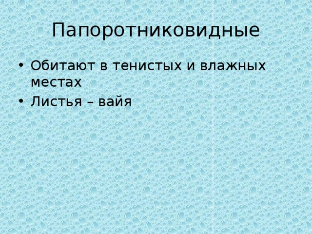 Папоротниковидные Обитают в тенистых и влажных местах Листья – вайя 