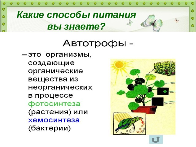 Какие есть способы. Какие способы питание вы знаете. Какие способы питания вам известно. Какие организмы питаются.