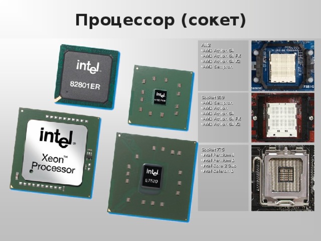 Процессор (сокет) AM2 AMD Athlon 64 AMD Athlon 64  FX AMD Athlon 64 X2 AMD Sempron  Socket 939 AMD Sempron AMD Athlon AMD Athlon 64 AMD Athlon 64 FX AMD Athlon 64 X2 Socket 775 Intel Pentium 4 Intel Pentium D Intel Core 2 Duo Intel Celeron D  