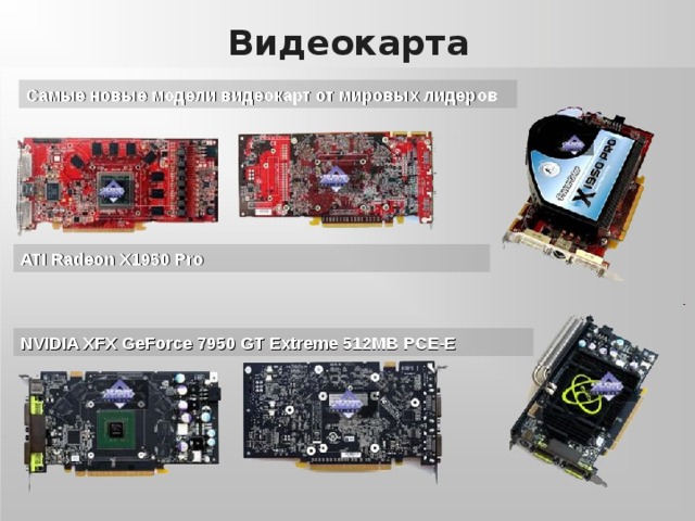 Видеокарта Самые новые модели видеокарт от мировых лидеров ATI Radeon X1950 Pro NVIDIA XFX GeForce 7950 GT Extreme 512MB PCE-E 