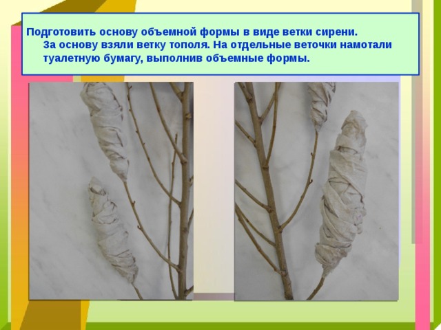 Подготовить основу объемной формы в виде ветки сирени.  За основу взяли ветку тополя. На отдельные веточки намотали туалетную бумагу, выполнив объемные формы. 
