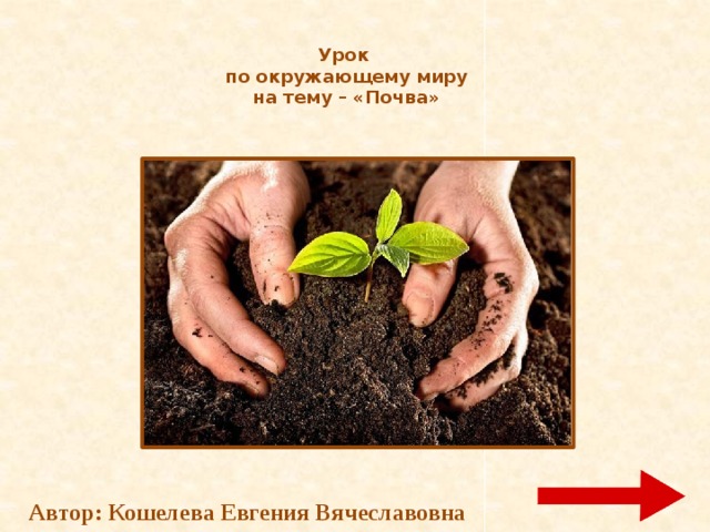 Урок  по окружающему миру  на тему – «Почва» Автор: Кошелева Евгения Вячеславовна 
