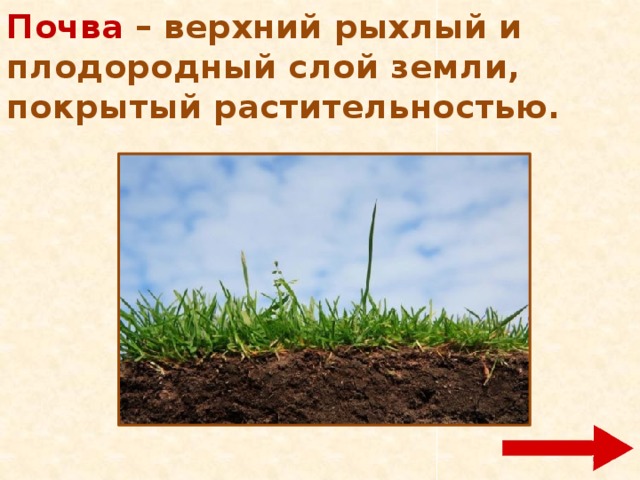 Почва – верхний рыхлый и плодородный слой земли, покрытый растительностью. 