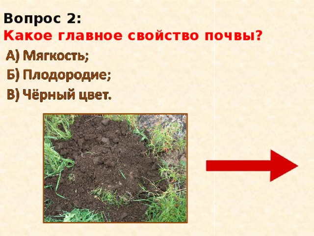 Важнейшим свойством почвы является наличие. Главное свойство почвы. Основное свойство почвы. Основное качество почвы. Какое главное свойство почвы.