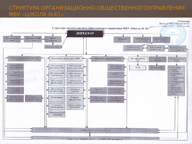 Структура организационно-общественногоуправления МБУ «Школа №43» 