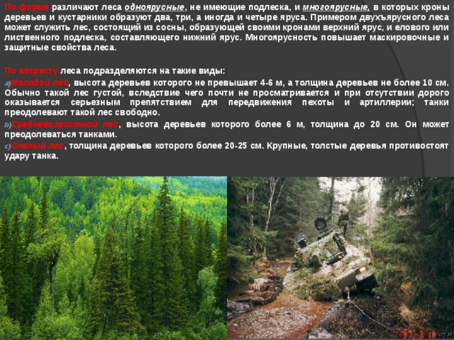 По форме различают леса одноярусные , не имеющие подлеска, и многоярусные, в которых кроны деревьев и кустарники образуют два, три, а иногда и четыре яруса. Примером двухъярусного леса может служить лес, состоящий из сосны, образующей своими кронами верхний ярус, и елового или лиственного подлеска, составляющего нижний ярус. Многоярусность повышает маскировочные и защитные свойства леса.  По возрасту леса подразделяются на такие виды: Молодой лес , высота деревьев которого не превышает 4-6 м, а толщина деревьев не более 10 см. Обычно такой лес густой, вследствие чего почти не просматривается и при отсутствии дорого оказывается серьезным препятствием для передвижения пехоты и артиллерии; танки преодолевают такой лес свободно. Средневозрастной лес , высота деревьев которого более 6 м, толщина до 20 см. Он может преодолеваться танками. Спелый лес , толщина деревьев которого более 20-25 см. Крупные, толстые деревья противостоят удару танка.  