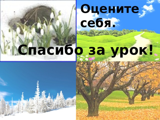 Оцените себя. Спасибо за урок! 