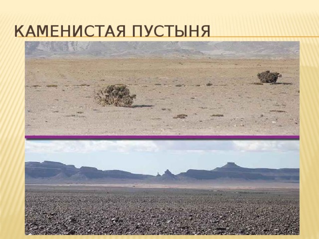 Каменистая пустыня 