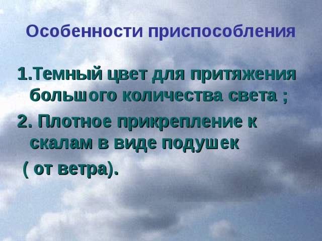 Особенности приспособления 1.Темный цвет для притяжения большого количества света ; 2. Плотное прикрепление к скалам в виде подушек  ( от ветра).  