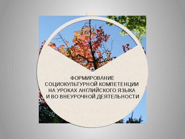 Социокультурное формирование