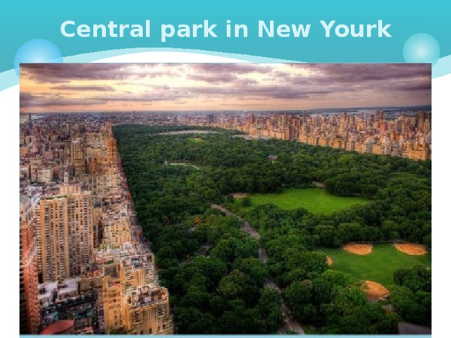Central park in New Yourk 