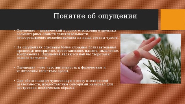  Понятие об ощущении   Ощущение —психический процесс отражения отдельных элементарных свойств действительности, непосредственно воздействующих на наши органы чувств. На ощущениях основаны более сложные познавательные процессы: восприятие, представление, память, мышление, воображение. Ощущения являются как бы “воротами” нашего познания. Ощущения —это чувствительность к физическим и химическим свойствам среды. Они обеспечивают чувственную основу психической деятельности, предоставляют сенсорный материал для построения психических образов. 