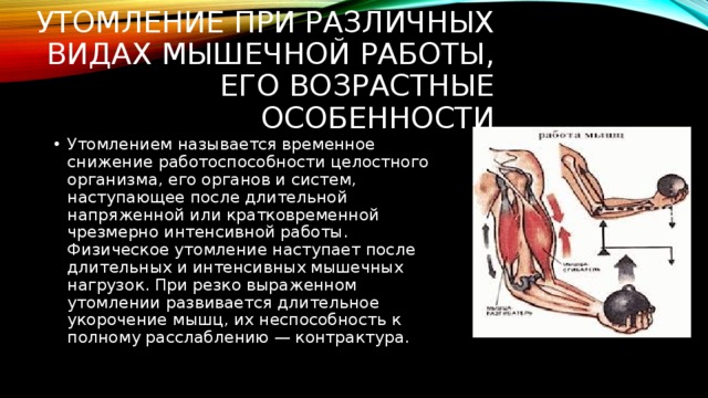 Что влияет на утомление мышц в процессе. Утомление при различных видах мышечной работы. Утомление при различных видах мышечной работы его механизм. Возрастные особенности работы мышц. Вид работы в утомлении мышц.