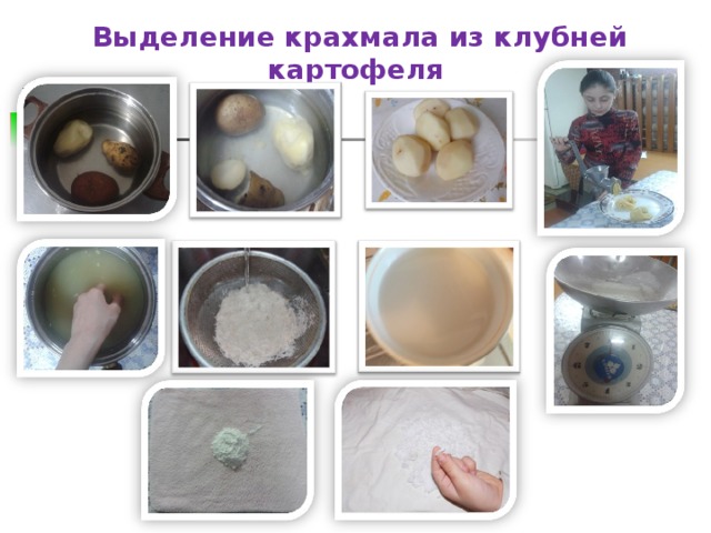  Выделение крахмала из клубней картофеля 