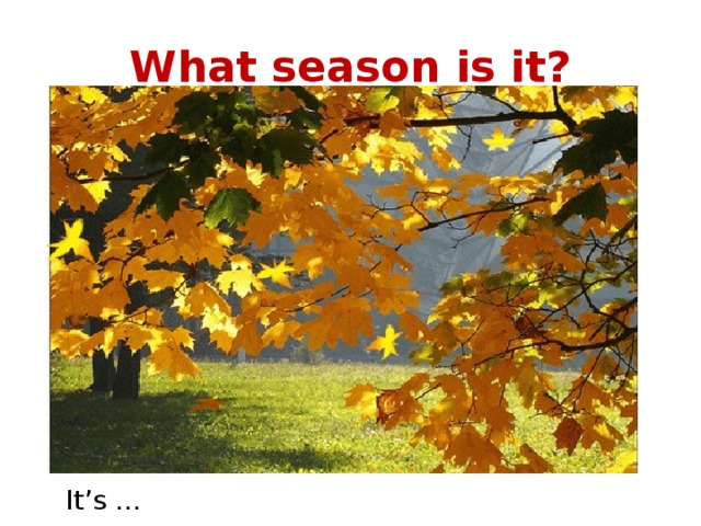What season is it? It’s … 