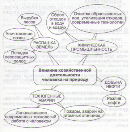 Схема положительного влияния человека на природу