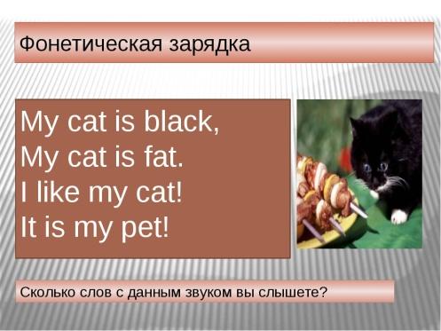 Презентация 5 класс spotlight my pet