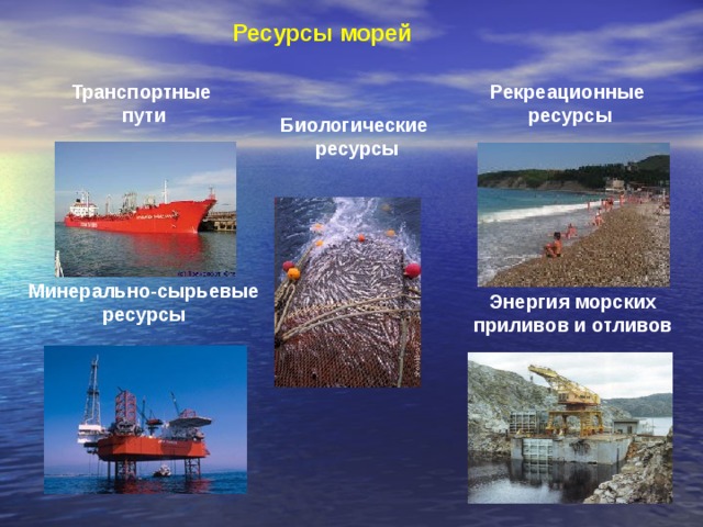 Ресурсы морей Транспортные пути Рекреационные ресурсы Биологические ресурсы Минерально-сырьевые ресурсы Энергия морских приливов и отливов 