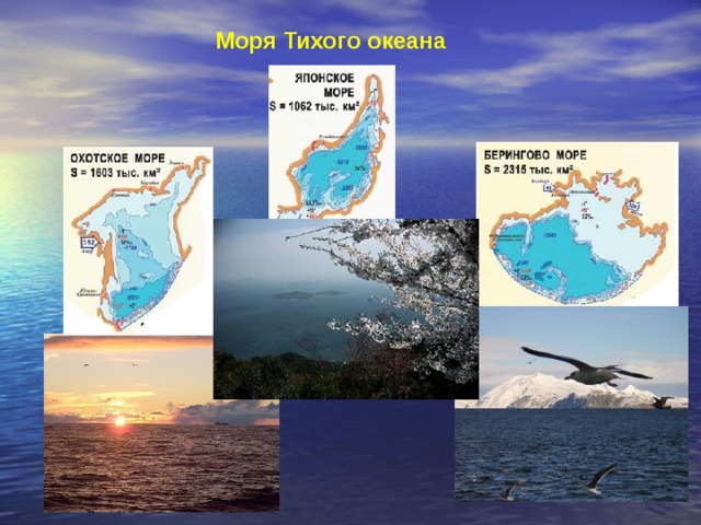 Моря Тихого океана 