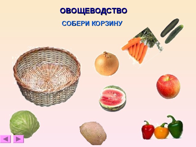 ОВОЩЕВОДСТВО СОБЕРИ КОРЗИНУ 