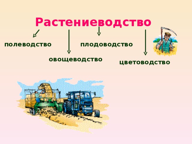 Творческий проект растениеводство