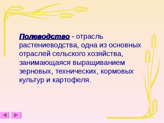 Полеводство - отрасль растениеводства, одна из основных отраслей сельского хозяйства, занимающаяся выращиванием зерновых, технических, кормовых культур и картофеля. 