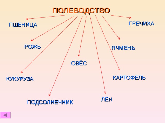 ПОЛЕВОДСТВО ГРЕЧИХА ПШЕНИЦА РОЖЬ ЯЧМЕНЬ ОВЁС КАРТОФЕЛЬ КУКУРУЗА ЛЁН ПОДСОЛНЕЧНИК 