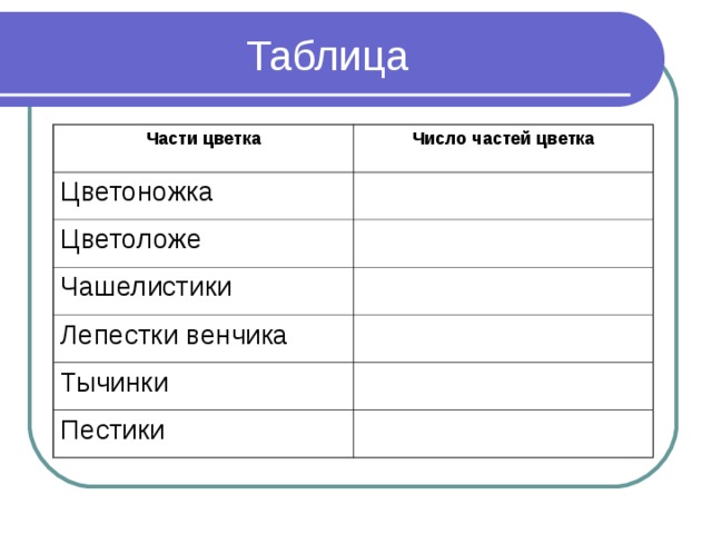 Таблица Части цветка Число частей цветка Цветоножка Цветоложе Чашелистики Лепестки венчика Тычинки Пестики