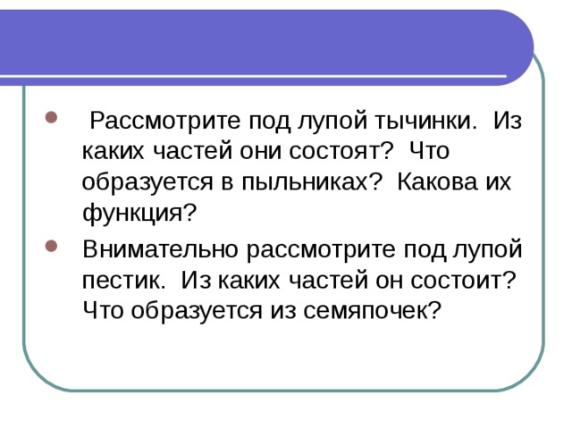 Рассмотрите под лупой тычинки. Из каких частей они состоят? Что образуется в пыльниках? Какова их функция? Внимательно рассмотрите под лупой пестик. Из каких частей он состоит? Что образуется из семяпочек?