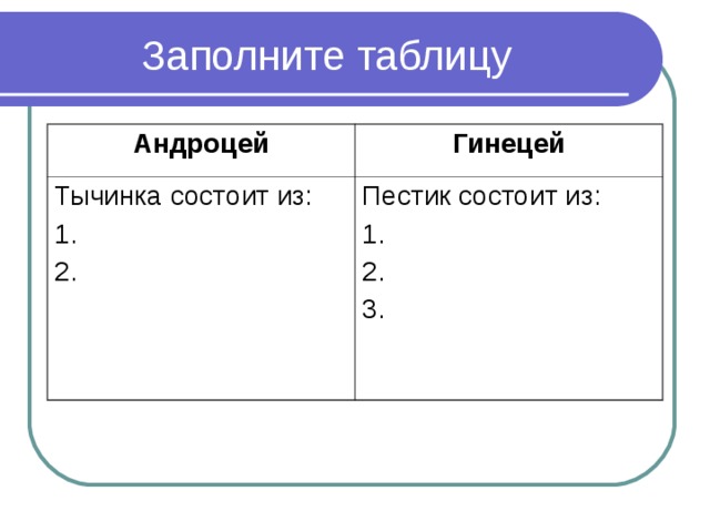 Заполните таблицу Андроцей Гинецей Тычинка состоит из: 1. 2. Пестик состоит из: 1. 2. 3.