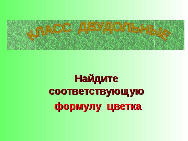 Найдите соответствующую формулу цветка