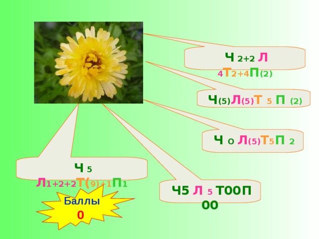 Ч (5) Л (5) Т 5 П (2)  Ч 5  Л 5 Т 00 П 00  Ч 5 Л 1+2+2 Т( 9)+1 П 1  Ч О Л (5) Т 5 П 2  Ч 2+2 Л 4 Т 2+4 П (2)  Баллы 0