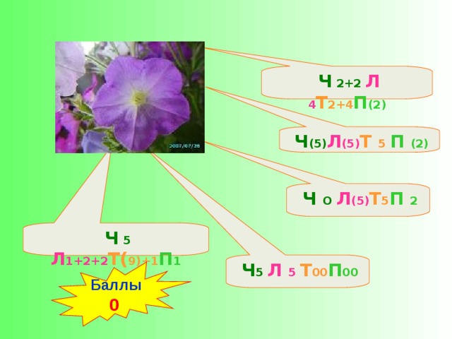 Ч (5) Л (5) Т 5 П (2)  Ч 5 Л 5 Т 00 П 00  Ч 5 Л 1+2+2 Т( 9)+1 П 1  Ч О Л (5) Т 5 П 2  Ч 2+2 Л 4 Т 2+4 П (2)  Баллы 0