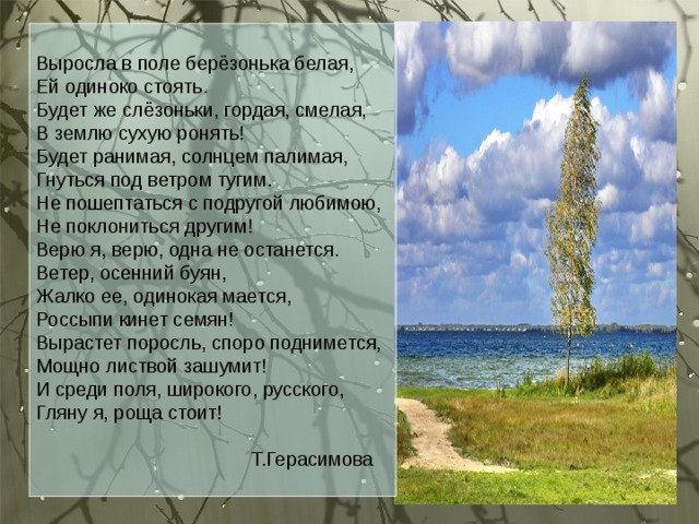 Выросла в поле берёзонька белая, Ей одиноко стоять. Будет же слёзоньки, гордая, смелая, В землю сухую ронять! Будет ранимая, солнцем палимая, Гнуться под ветром тугим. Не пошептаться с подругой любимою, Не поклониться другим! Верю я, верю, одна не останется. Ветер, осенний буян, Жалко ее, одинокая мается, Россыпи кинет семян! Вырастет поросль, споро поднимется, Мощно листвой зашумит! И среди поля, широкого, русского, Гляну я, роща стоит!     Т.Герасимова