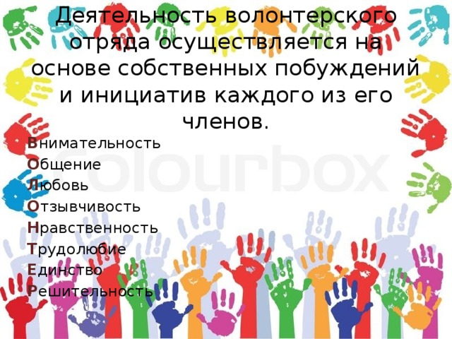 Деятельность волонтерского отряда осуществляется на основе собственных побуждений и инициатив каждого из его членов. В нимательность О бщение Л юбовь О тзывчивость Н равственность Т рудолюбие Е динство Р ешительность 