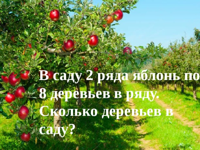 В саду 2 ряда яблонь по 8 деревьев в ряду. Сколько деревьев в саду? 