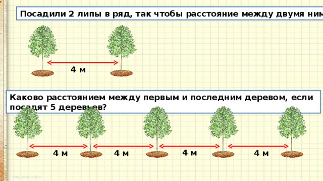 Посадили 2 липы в ряд, так чтобы расстояние между двумя ними было 4 метра. 4 м Каково расстоянием между первым и последним деревом, если посадят 5 деревьев? 4 м 4 м 4 м 4 м 