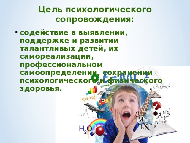 Цель психологического сопровождения: содействие в выявлении, поддержке и развитии талантливых детей, их самореализации, профессиональном самоопределении, сохранении психологического и физического здоровья.     
